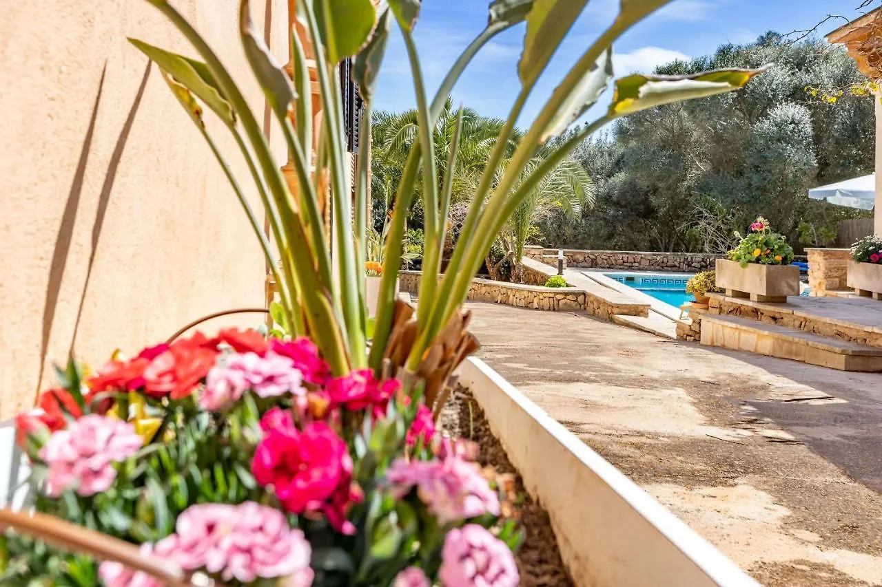 Son Sec 2 Bedrooms Santanyi Spain